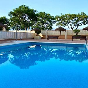Apartamento Novomar By Solymar Holiday